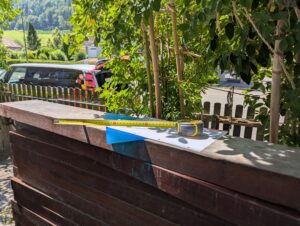 pathway between trees