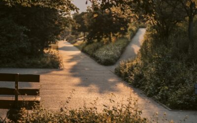 Weshalb bau.zusammen beim Bauen einen anderen Weg wählt